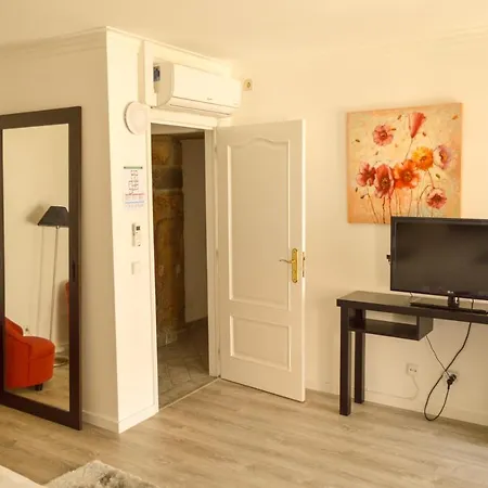 Solar De Apartment Oledo